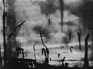 Image description is not available for 2017.002